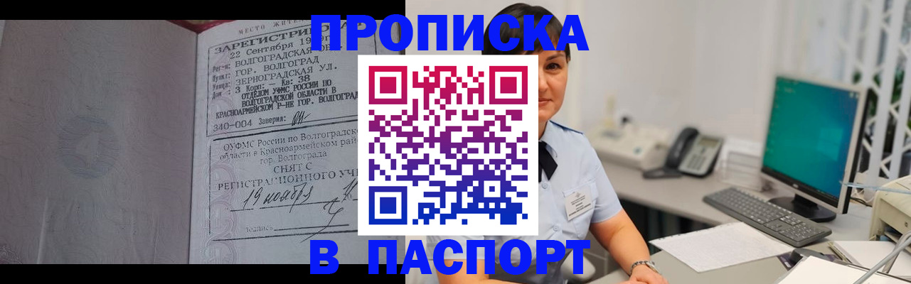 найти адрес прописки в Курчалом