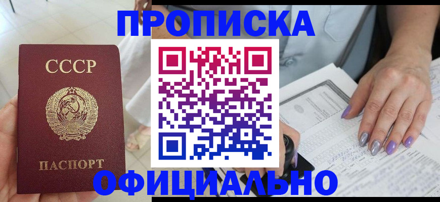 прописка поиск в Курчалом